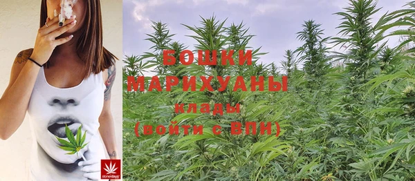 стафф Дмитровск