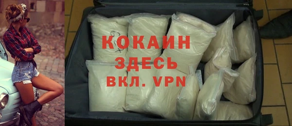 стафф Дмитровск