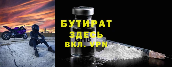 сатива Дмитриев