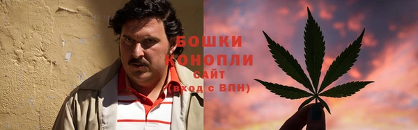 стафф Дмитровск