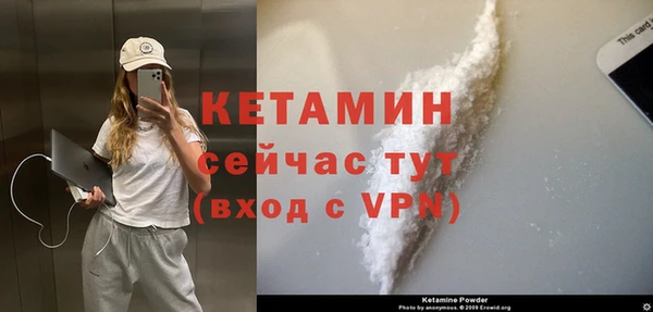 сатива Дмитриев