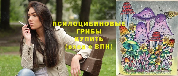стафф Дмитровск
