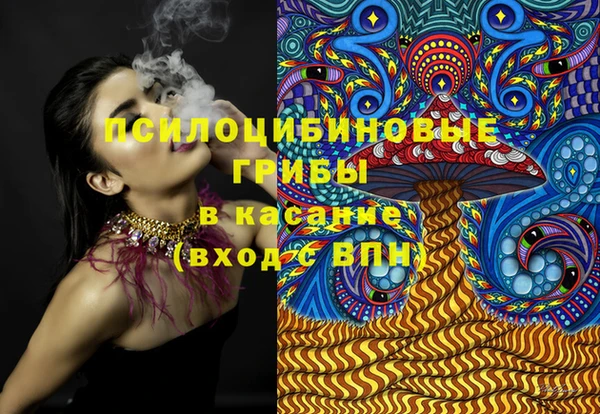 сатива Дмитриев