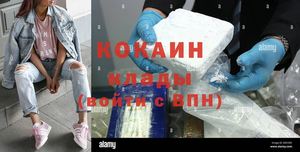 стафф Дмитровск