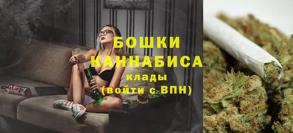 сатива Дмитриев