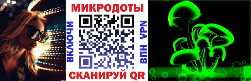 Псилоцибиновые грибы Cubensis  как найти наркотики  Элиста 